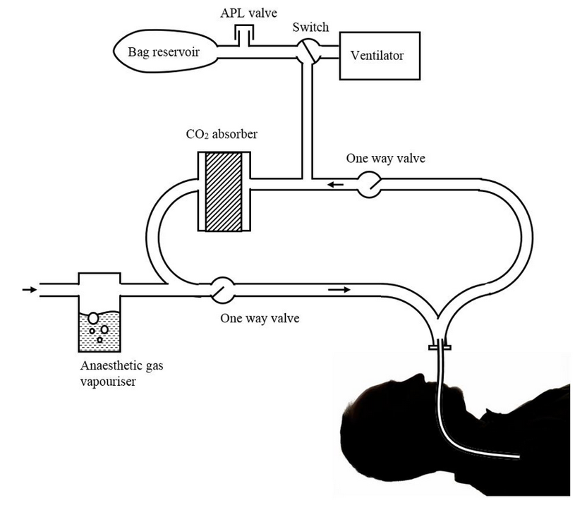 Circle breathing circuit